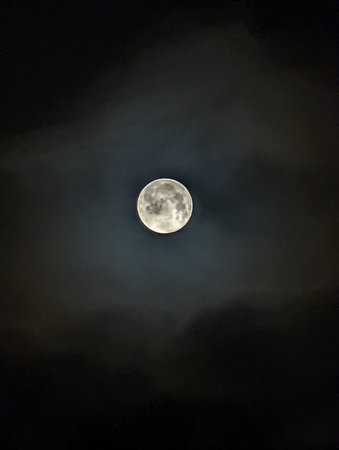PXL_20220118_053612034.jpg