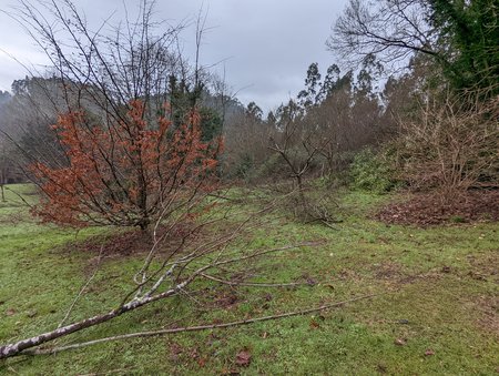 PXL_20220120_094220574.jpg