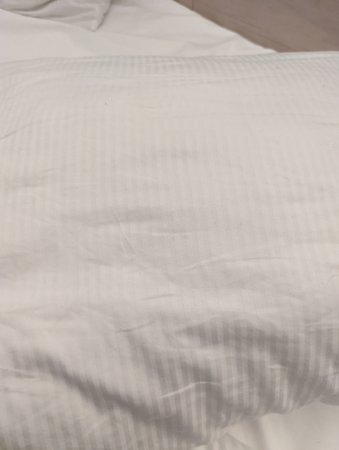 PXL_20220120_193930943.jpg