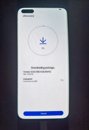 eRecovery Update EMUI 11 zu EMUI 12.jpg