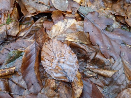 PXL_20220123_101834453.jpg