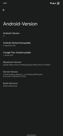 Screenshot_20220125-162140_Einstellungen.png