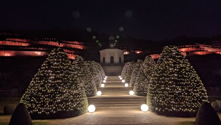 PXL_20220125_164508447.jpg