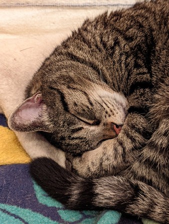 PSX_20220125_225012.jpg