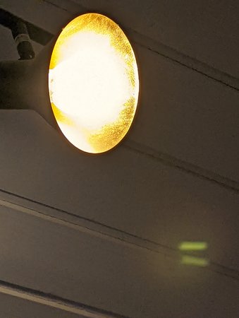 PXL_20220126_112126782.jpg