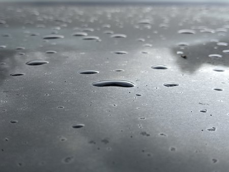 PXL_20220128_072816479.jpg