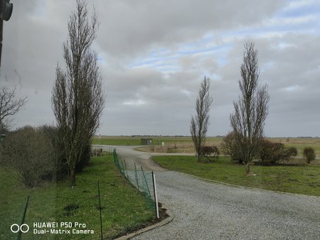 IMG_20220128_150236.jpg