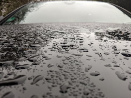 PXL_20220129_100150914.jpg