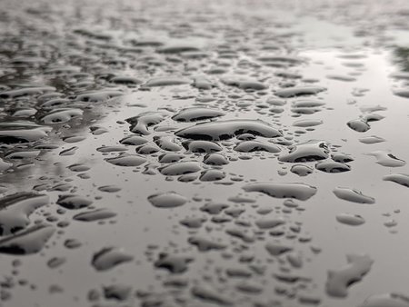 PXL_20220129_100157939.jpg