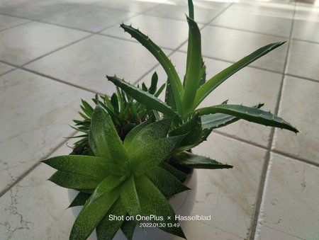 IMG20220130134921.jpg