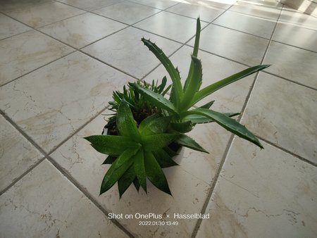 IMG20220130134956.jpg