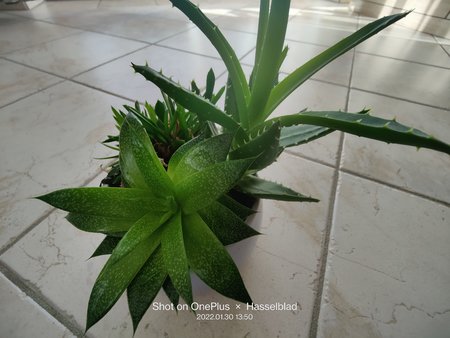 IMG20220130135009.jpg