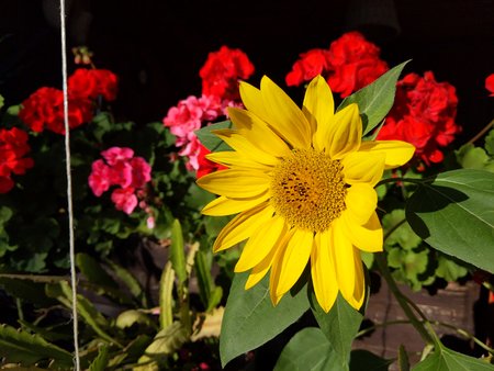 PXL_20210903_160509622.jpg