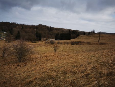 IMG_20220130_102245.jpg