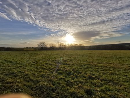 IMG_20220128_161519.jpg