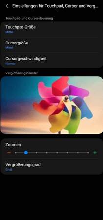 Screenshot_20220131-172803_Accessibility.jpg