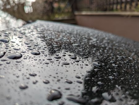 PXL_20220131_121945263.jpg