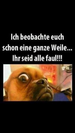 C00AA52B-EEDB-4B0B-A5BA-6EF35E711B78.jpeg