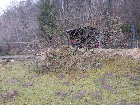 PXL_20220202_094512707.jpg