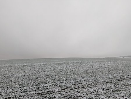 PXL_20220211_065226296.jpg