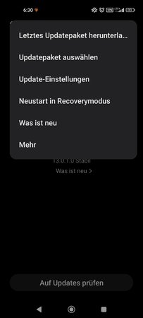 Screenshot_2022-02-15-06-30-06-392_com.android.updater.jpg