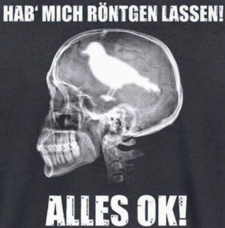 Lustiges_Roentgenbild~2.jpg