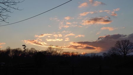 DSC_0005.JPG