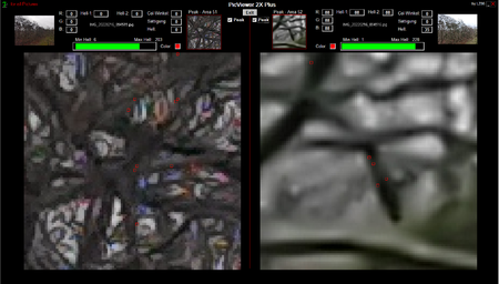 Peak Max P40 P50.png