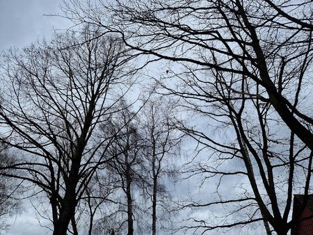 20220215_131223.jpg
