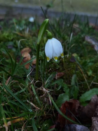 IMG_20220220_171024.jpg