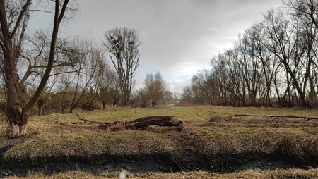 IMG_20220120_141644.jpg