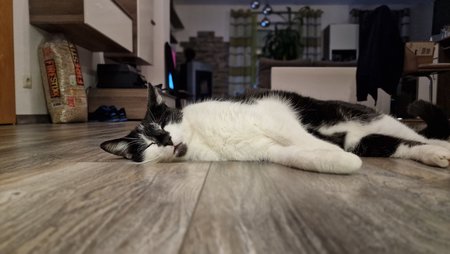 20220223_024910.jpg