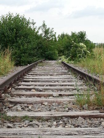20120830_160540.jpg