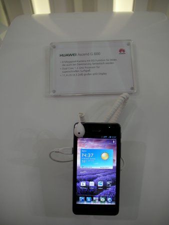SANY0416.JPG