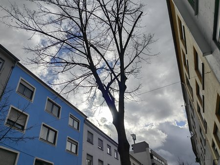 2022-02-24_Erste-Fotos-vom-P50Pro_04.jpg