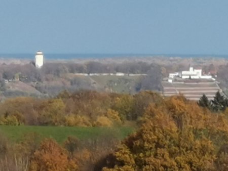IMG_20201118_130820.jpg