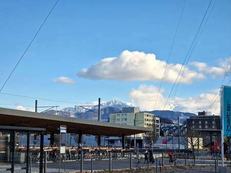 20220226_155125.jpg