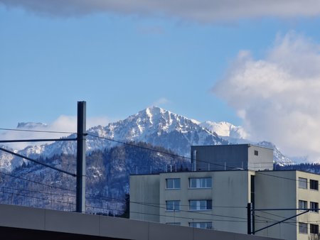 20220226_155134.jpg