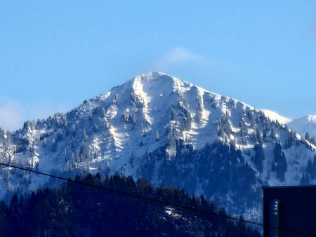 20220226_155131.jpg