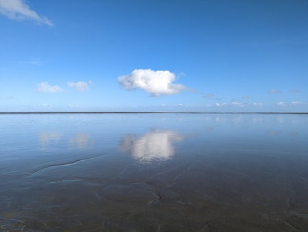 PSX_20220226_193522.jpg