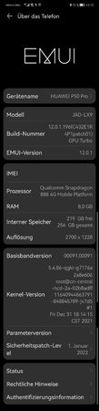 P50-Pro_Modellname.jpg