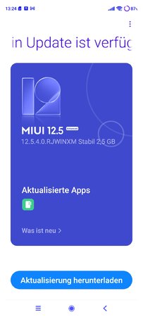 Screenshot_2022-02-28-13-24-47-879_com.android.updater.jpg