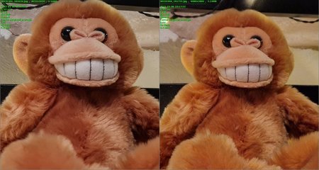 Hauptcam (WW).jpg