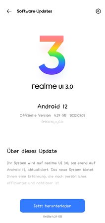 RMX3370_11_C.01 4.29GB herunterladen.jpg