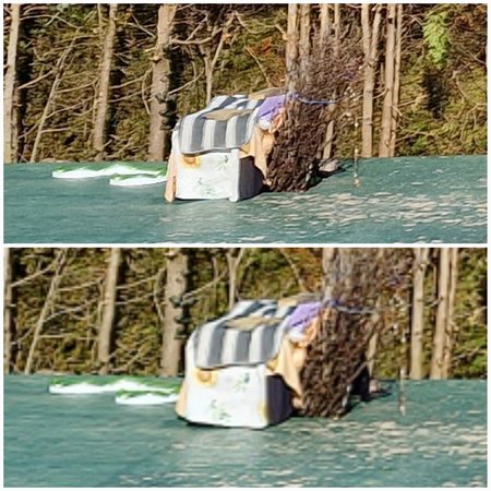 20220308_103725.jpg
