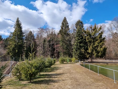 20220308_115133.jpg