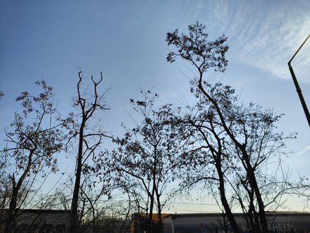 IMG20220308115840.jpg
