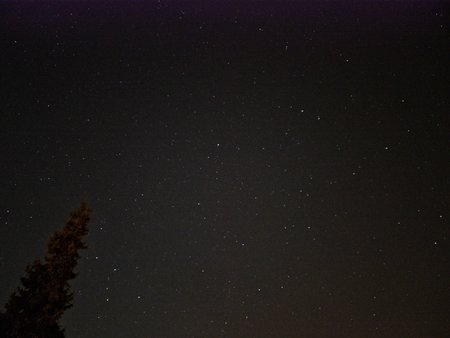 Expert Raw_iso50.jpg