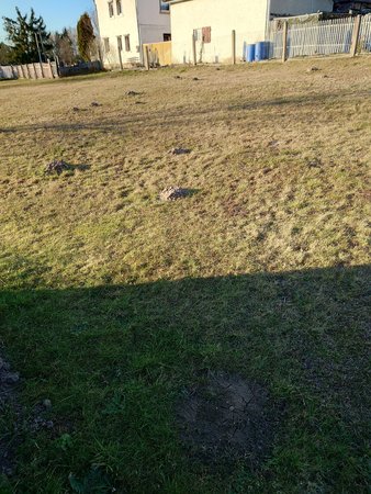 20220311_171213.JPG