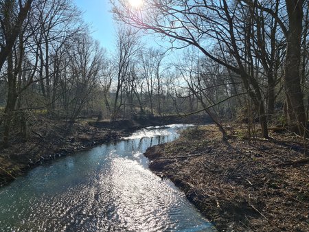 20220311_154354.jpg